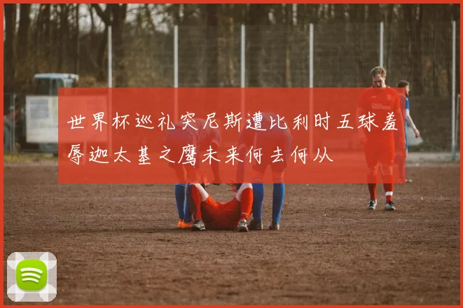 世界杯巡礼突尼斯遭比利时五球羞辱迦太基之鹰未来何去何从
